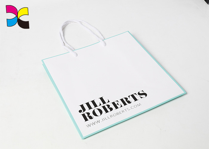 High End Printed Paper Bags Light Blue Offset With Company Title 210gsm C1s Art Paper