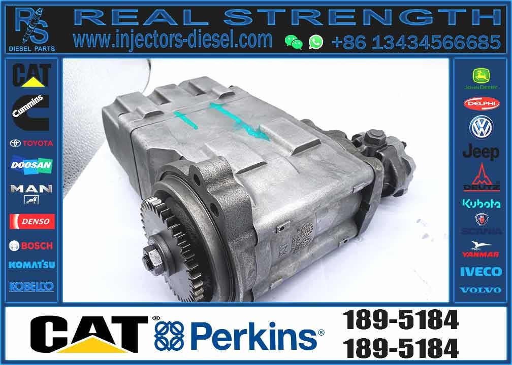 Diesel Fuel Injection Pump 189-5184 254-4357 for CAT C7 C9 Excavator E330D E336D E340DL