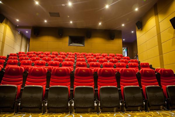 High Wear Resistance Theater Room Seating Flexible Plastic Armrest Color Non