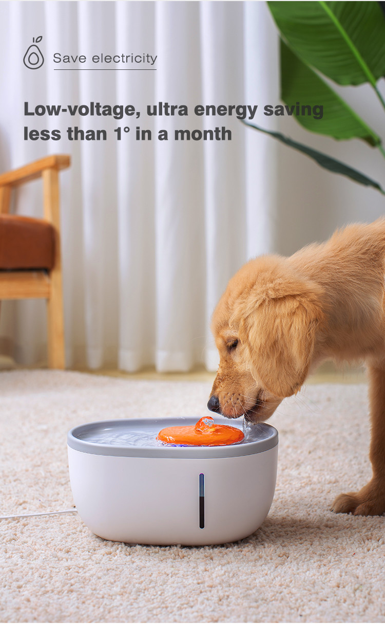 Pet Feeder Water Cat Water Dispenser Drinking Fountain 2 L White Avocado Green