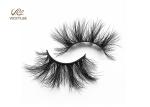 Fan Shaped Whole Strip Cotton Stalk 5D Volume Lashes