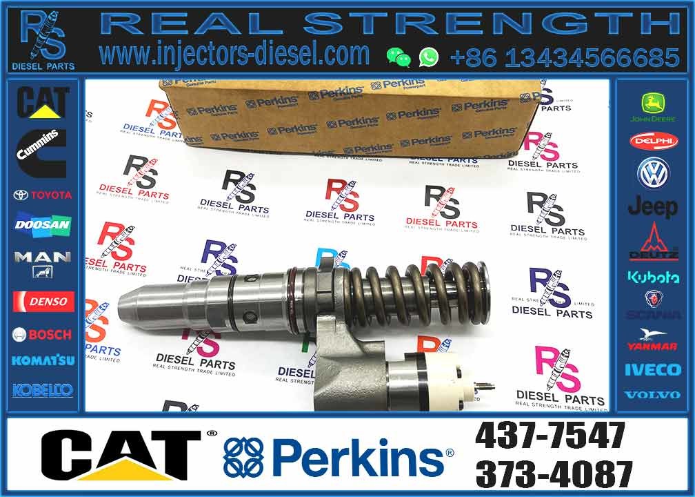 Excavator Parts 3116 Engine Injector 0R-8483 0R-3002 0R-8477 0R-3190 0R-8473 4P-2995 Fuel Injector For Excavator