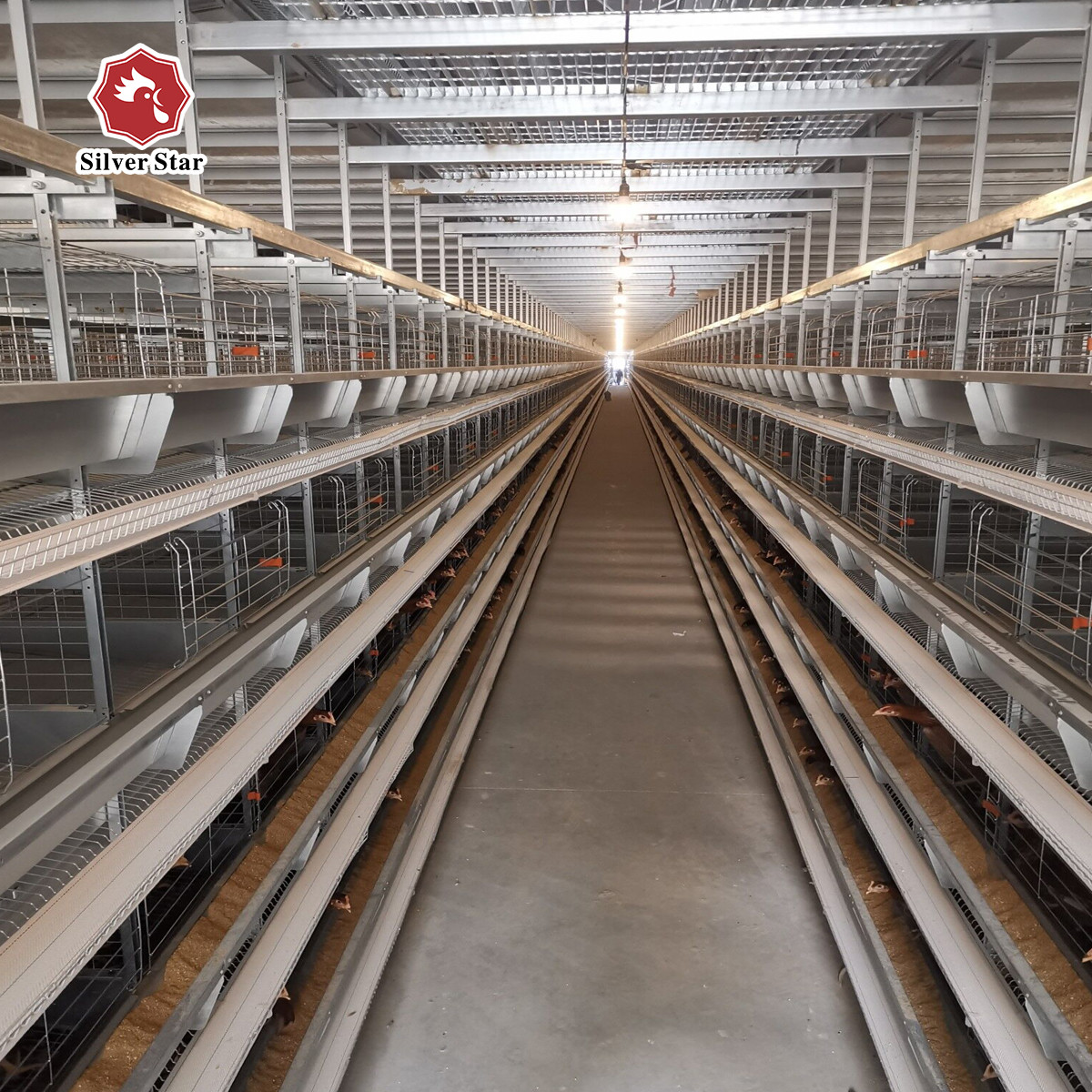 Breeding Battery Chicken Cage 126 Birds / Set Full Automatic Equipment