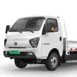 FEIDI EF3 Electric Truck 2 Seats 100% Electric 0.5 Hour 4010*1750*380 CN SHN