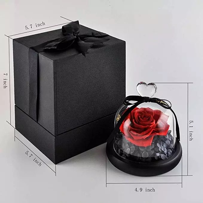 Hot Selling Preserved Rose with Glass Dome Mini Artificial Flowers Preserved Flowers for Valentines day Gifts