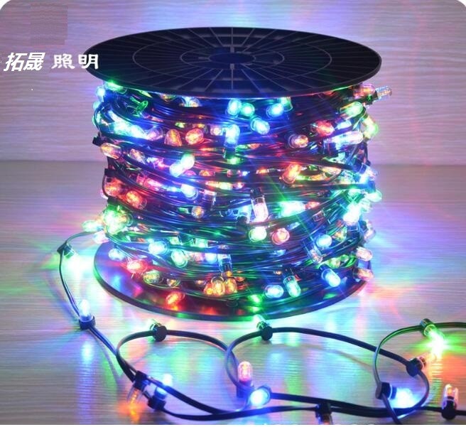 Christmas Tree Manufacturer IP65 LED String Lights 12V LED Clip Light for Australia