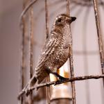 Rustic Cage Birds Chandelier for farmhouse Bedroom Sitting room lighting (WH-CI
