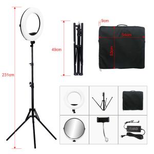 Wholesale Yidoblo FS-480II 48w photography live streaming 18 inch makeup eyelash extension selfie ring light kit with tripod from china suppliers