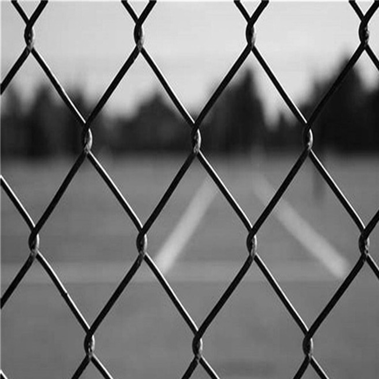 9 Gauge Heavy Duty Industrial PVC Chain Link Fence 6ft X 50ft
