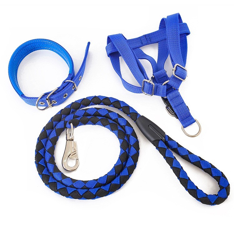 one designer dog collar and lead set