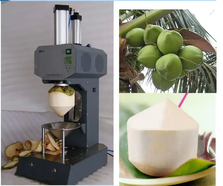 220V Food Processing Machines Electric Automatic Coconut Skin Peeling Machine