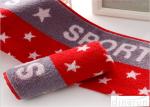 30*110cm Lightweight Sports Gym Towels For Home / Office / Fitness Centers