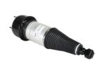 Rear Spare Parts Air Suspension Spring Absorbers Shock Strut For Jaguar XJ