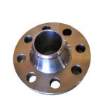 ASME B16.5 UNSS32205 Super Duplex Flanges 3'' 900lb Sch80 Forged WN Stainless