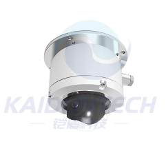 Wholesale Atex Approval 2MP 1X Explosion Proof Anti-Corrosion PTZ IR Dome IP CCTV Camera from china suppliers