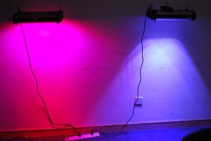 Wholesale Cidly marine aquarium reef light full spectrum 300w led aquarium lights from china suppliers