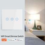 Glass Touch Screen Dimmer Tuya Smart Switch 150W 2.4GHz WIFI
