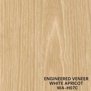 Wholesale Hotel Recon Wood Veneer White Apricot H07C Flat Cut Length 3100mm from china suppliers