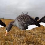 Silhouette Specklebelly Goose Hunting Decoy Custom Plastic Anti Reflective PP