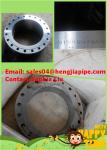 20'' SS304 flanges