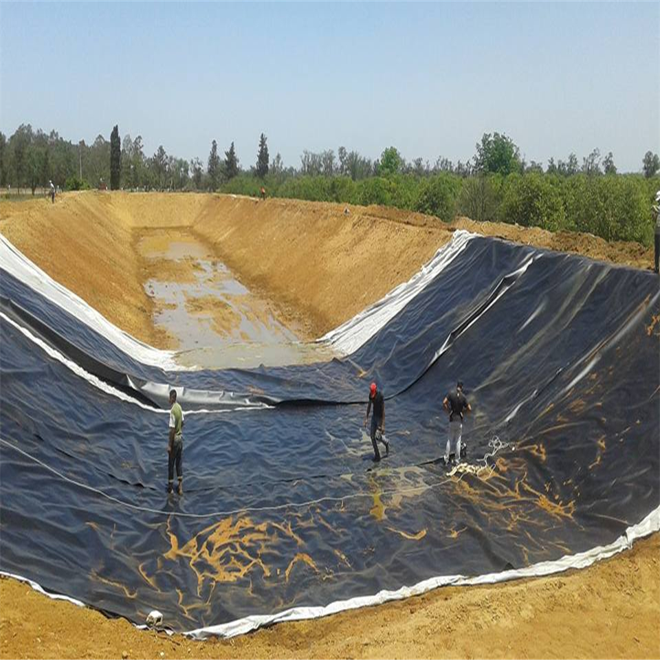 High Density Polyethylene HDPE LDPE Geomembrane for Dam Liner Fish Farm Pond Liners