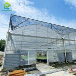 Durable Hot Dip Galvanized Steel Multi-span Plastic Film Agricultural Greenhouse