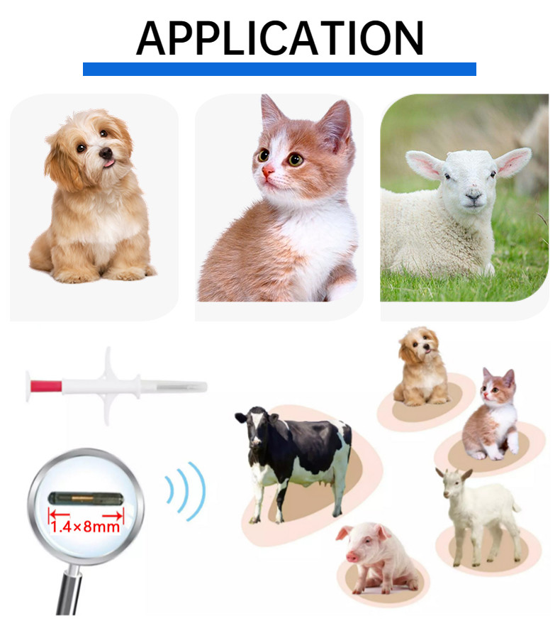 Injectable Transponders ICAR Animal ID Microchip 134.2KHz Identity Chip For Dogs Tracking