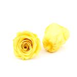 Long Lasting Dia 5-6cm No Pollen Preserved Rose Heads