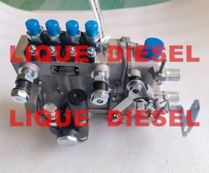 Wholesale Diesel Pump BH4QT95R9 kangda pump from china suppliers