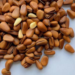 Wholesale Semi Soft Healthy Snack Mix OU KOSHER Nutritious Organic Pine Nuts from china suppliers