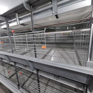 Wholesale Baby Chicks Broiler Chicken Cage For Chicken Farm from china suppliers
