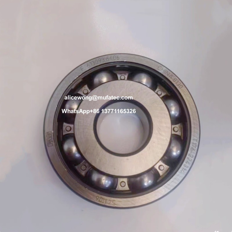 F-613093.6406 Automotive Bearings 30X90X23mm