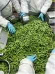 HALAL Certified High Protein Frozen Edamame Beans