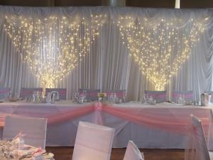 Wholesale wedding curtain light led for decoration from china suppliers