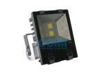 100W LED Flood Lights IP65 Waterproof For Garden Tunnel Football Field