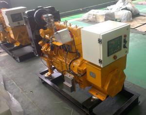 Wholesale 12kw Natural Gas Generator , 15kva Gas Generator With Stamford Alternator from china suppliers