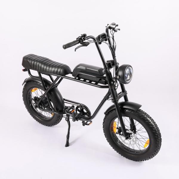 Aluminum Alloy 20 Inch Fat Tyre Electric Bicycle ebike 48V 1000W Vintage Motor