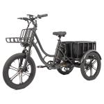 Food Electric Fat Tire Delivery Tricycle E-bike with 48V 500W Motor Power and