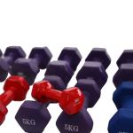 4kg Cast Iron Free Weight Exercise Equipment Neoprene Or Vinyl Dumbbell
