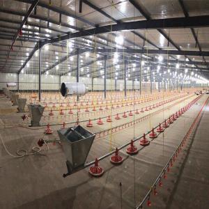 Wholesale 4m/Set Broiler Equipment from china suppliers