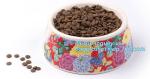 Dog Bowls Non-Slip Stainless Steel Small Cat Food Bowls Unbreakable Thicken Cat