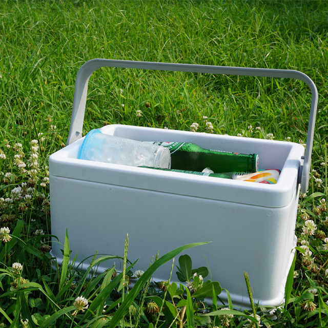 360*240*250mm Cooler Box with Ice Packs 8L Capacity for Outdoor Adventures