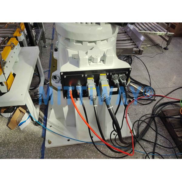 Safety Robotic Case Packer Case Packer Machine Operations