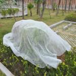 Biodegradable Fabric Fruit Protection Bags