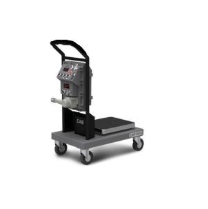 Wholesale 60kg Explosion Proof Floor Scale from china suppliers