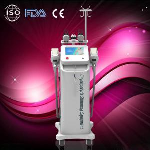 Wholesale Touch Screen Cryolipolysis Fat Freeze Slimming Machine Radio Frequency from china suppliers