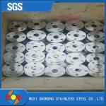 Pn6-100 Forged Stainless Steel Flanges Neck Welded Duplex Steel Flanges National