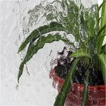 Colorful Flower Pattern Begonia Embossed Glass for Bathroom Kitchen Industrial