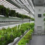 Commercial Greenhouse Hydroponic Vertical Farming Container