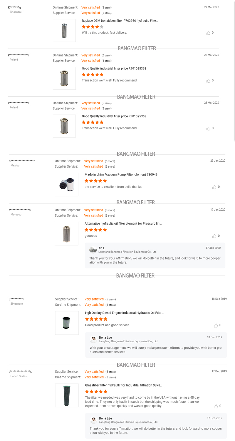 Local Service Location None Hydraulic Oil Filter Element for XCMG XS223J / 263J Roller